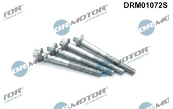 Screw, injection nozzle holder