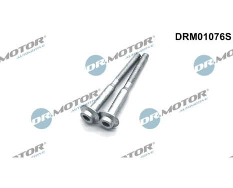 Screw, injection nozzle holder