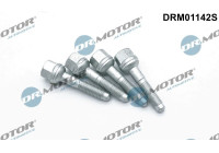 Screw, injection nozzle holder