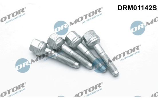 Screw, injection nozzle holder