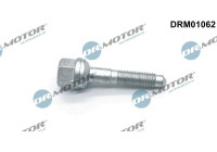 Screw, injection nozzle holder