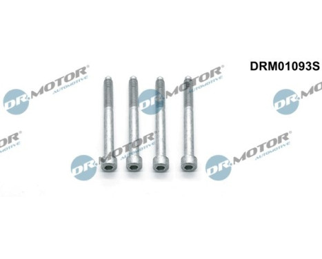 Screw, injection nozzle holder