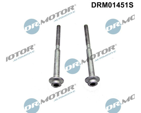 Screw, injection nozzle holder