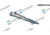 Screw, injection nozzle holder