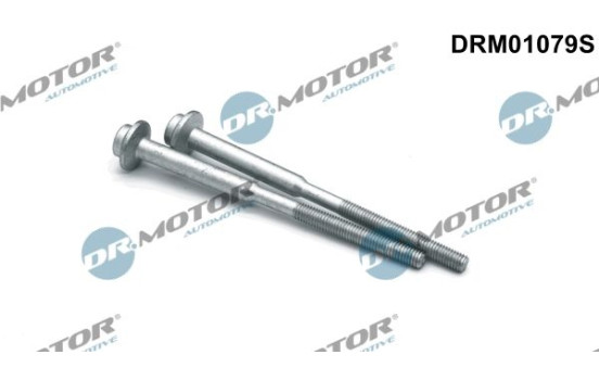 Screw, injection nozzle holder