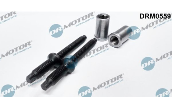 Screw, injection nozzle holder