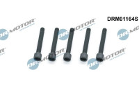 Screw, injection nozzle holder