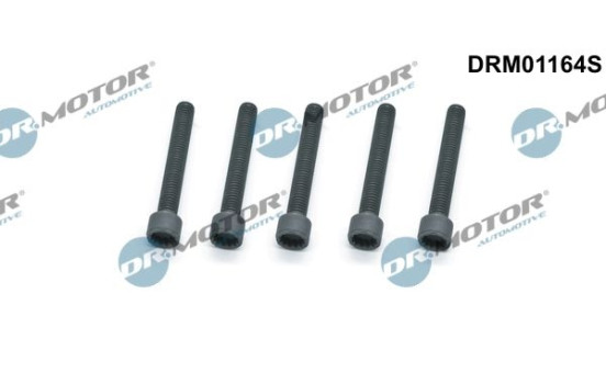 Screw, injection nozzle holder