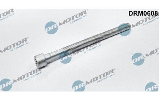 Screw, injection nozzle holder