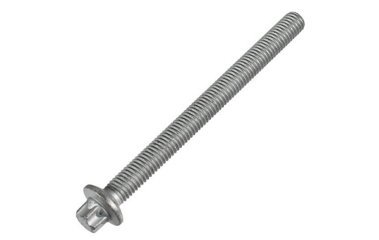 Screw, injector holder