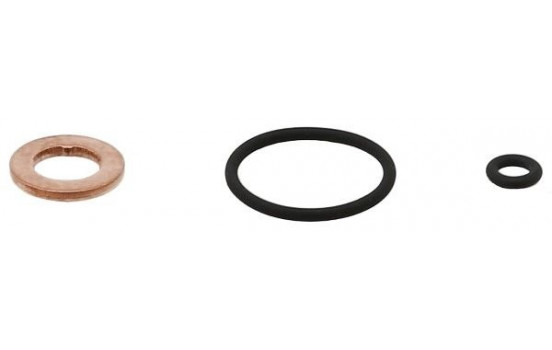 Seal, Injector/Nozzle