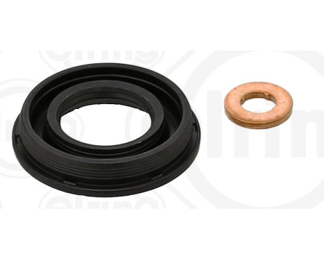Seal, Injector/Nozzle