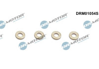 Seal, Injector/Nozzle