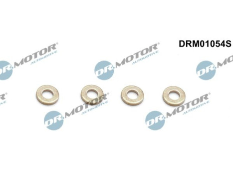 Seal, Injector/Nozzle
