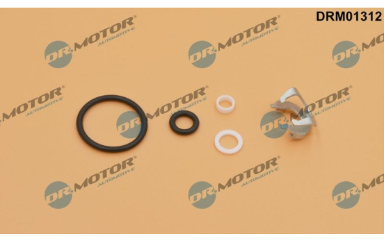 Seal, Injector/Nozzle