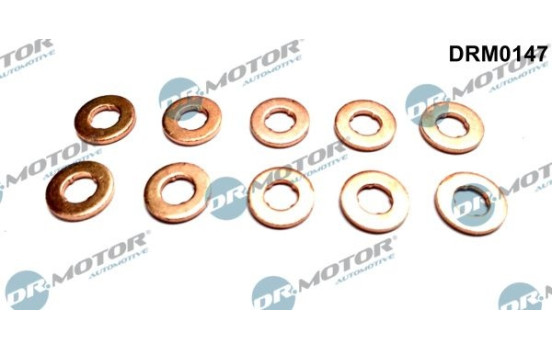 Seal, Injector/Nozzle