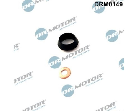 Seal, Injector/Nozzle