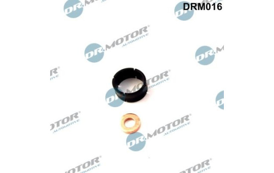 Seal, Injector/Nozzle