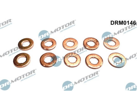 Seal, Injector/Nozzle