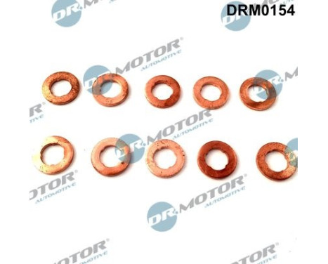 Seal, Injector/Nozzle