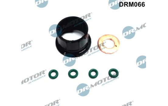 Seal, Injector/Nozzle