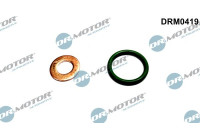 Seal, Injector/Nozzle