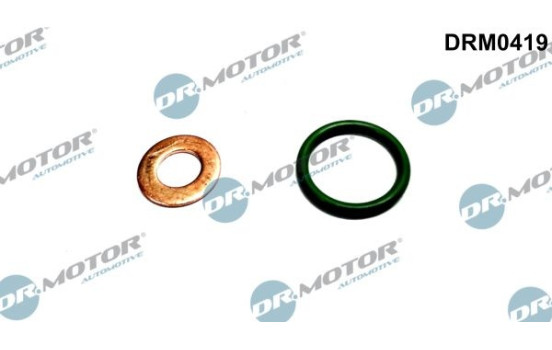 Seal, Injector/Nozzle