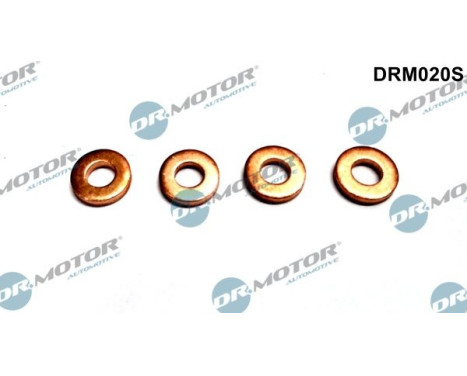 Seal, Injector/Nozzle
