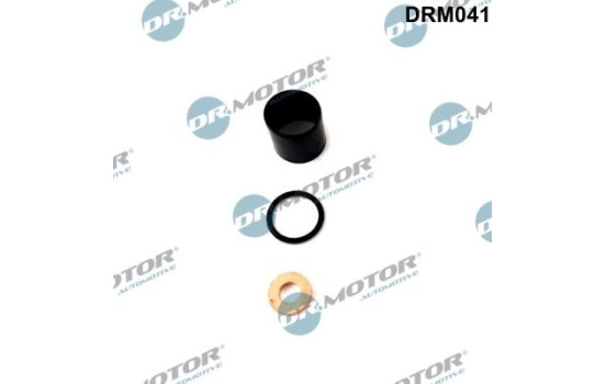 Seal, Injector/Nozzle