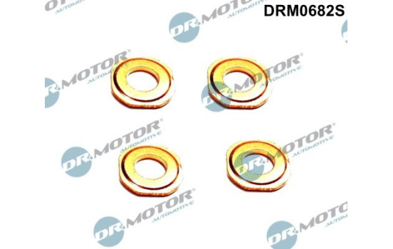 Seal, Injector/Nozzle