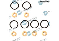 Seal, Injector/Nozzle