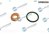 Seal, Injector/Nozzle