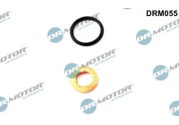 Seal, Injector/Nozzle