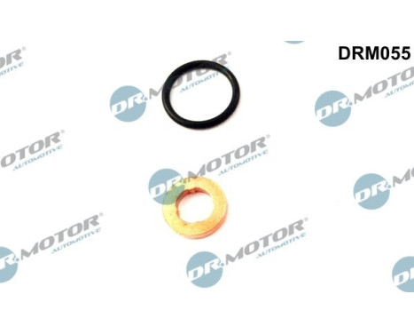 Seal, Injector/Nozzle