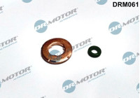 Seal, Injector/Nozzle