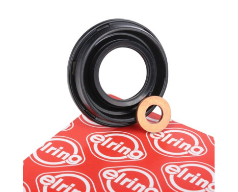 Seal, Injector/Nozzle