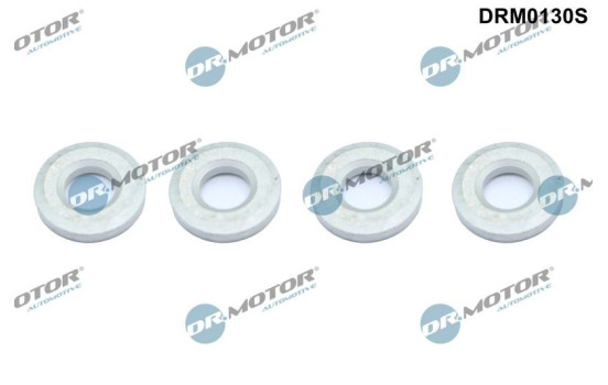 Seal, Injector/Nozzle