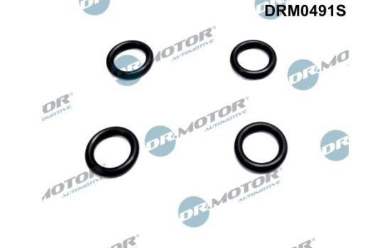 Seal ring, atomizer holder