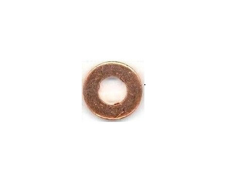 Seal ring, Atomizer/Injector