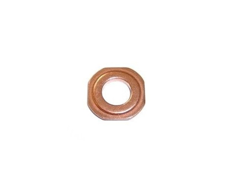 Seal ring, Atomizer/Injector