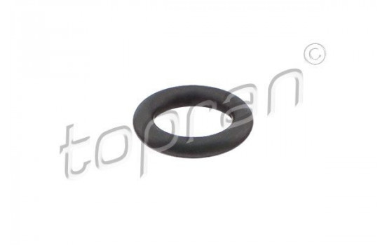 Seal ring, Atomizer/Injector