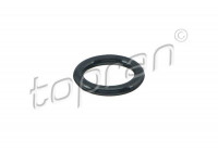 Seal ring, Atomizer/Injector