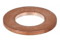 Seal ring, Atomizer/Injector