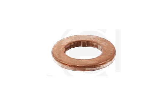 Seal ring, Atomizer/Injector