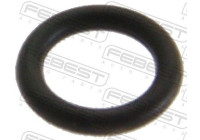 Seal ring, Atomizer/Injector