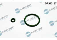 Seal ring, Atomizer/Injector