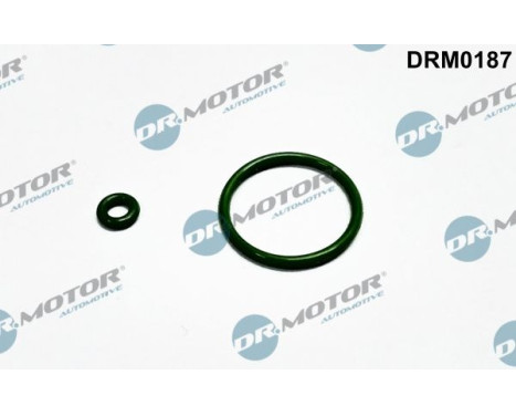 Seal ring, Atomizer/Injector
