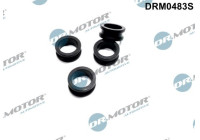 Seal ring, Atomizer/Injector