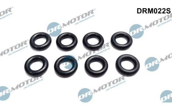 Seal ring, Atomizer/Injector