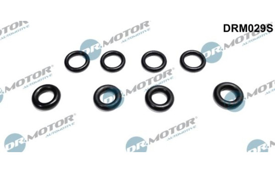 Seal ring, Atomizer/Injector